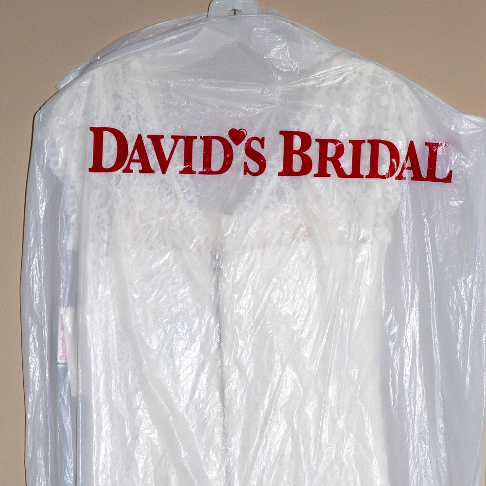 David's Bridal Studio Lace Dress - Ivory